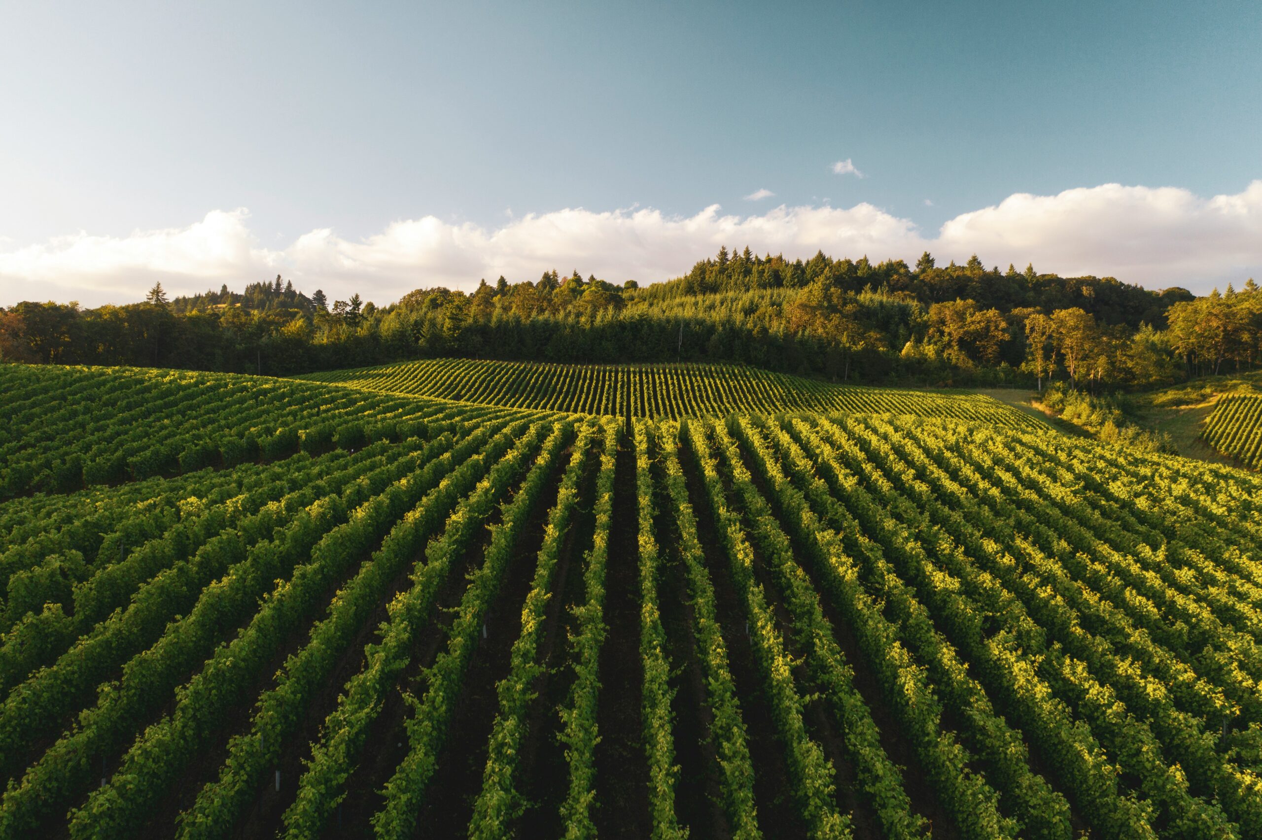 Agricultural consulting and land capability assessment KwaZulu-Natal Gauteng