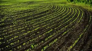 Soil Health and Nutrition